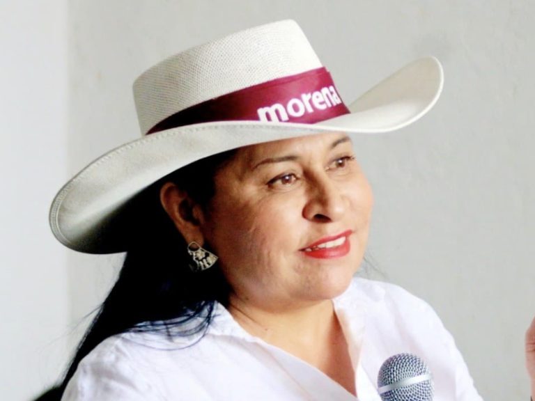 Senadora de Morena asegura que Sheinbaum está dando resultados en seguridad y salud