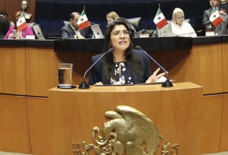Senadoras del PAN buscan que ciudadanos participen en la toma de decisiones del gobierno para ejercer recursos públicos