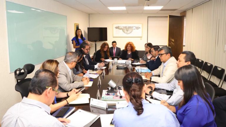 Documentación de aspirantes a consejerías del INE será parcialmente confidencial por contener datos personales