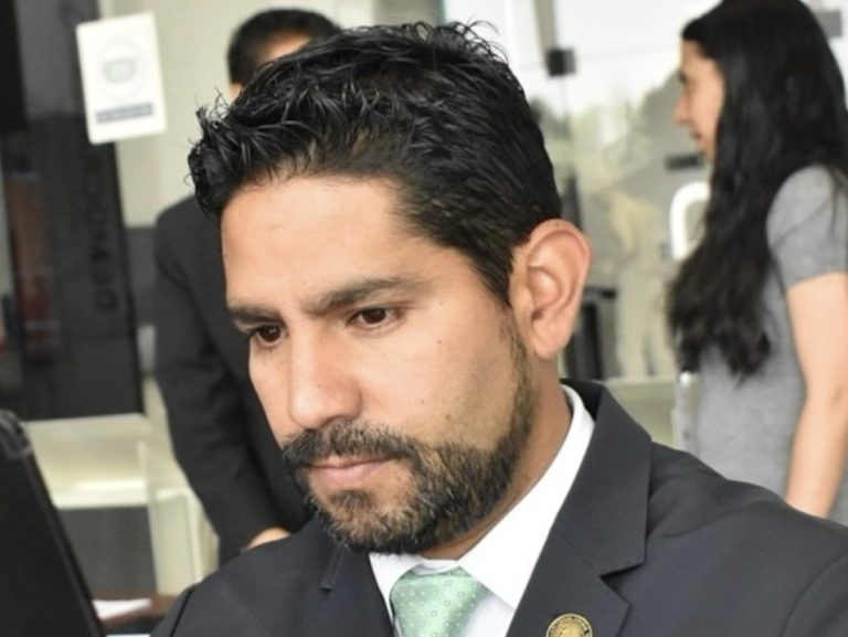 PVEM va por reserva que impida aplicación automática de Ley Monreal por “intervención extranjera”   