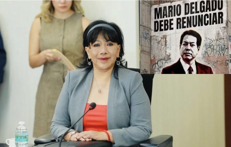 “Por congruencia y por el futuro de México Mario Delgado debe renunciar”: Senadora Anabell Ávalos