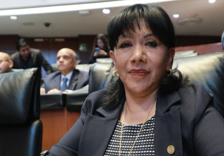 “Morena se enreda en la soberania para ocultar sus relaciones con el crimen organizado”, advierte Anabell Ávalos