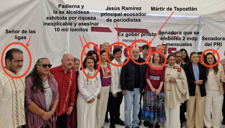 Noroña, Padierna, Bejarano, Cuevas, una senadora que asesinó a 10 mil lomitos y hasta la que cobra 2mdp al mes, son los respaldos de Ana Lilia Rivera