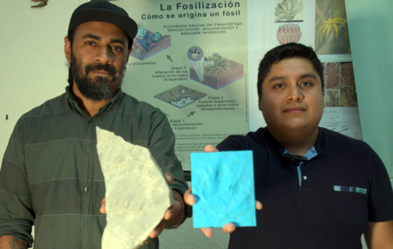 Investigadores BUAP registran nuevas huellas de dinosaurio en Puebla