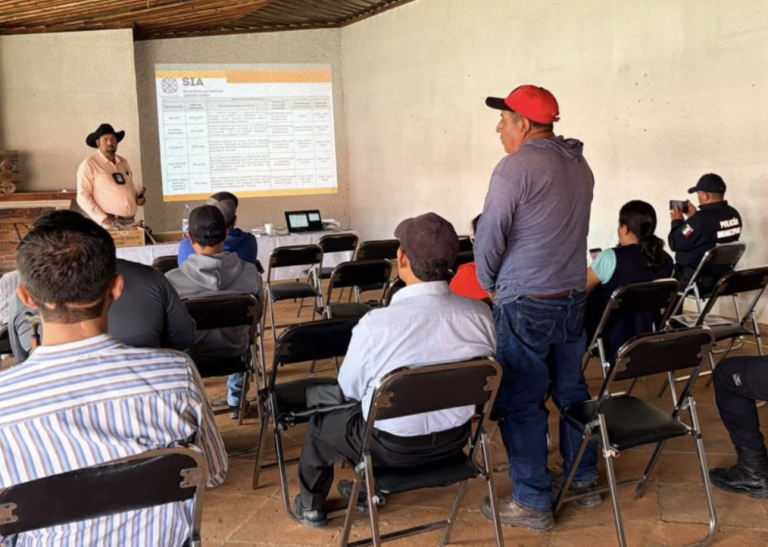 Gobierno de Huamantla en alerta por Gusano Barrenador