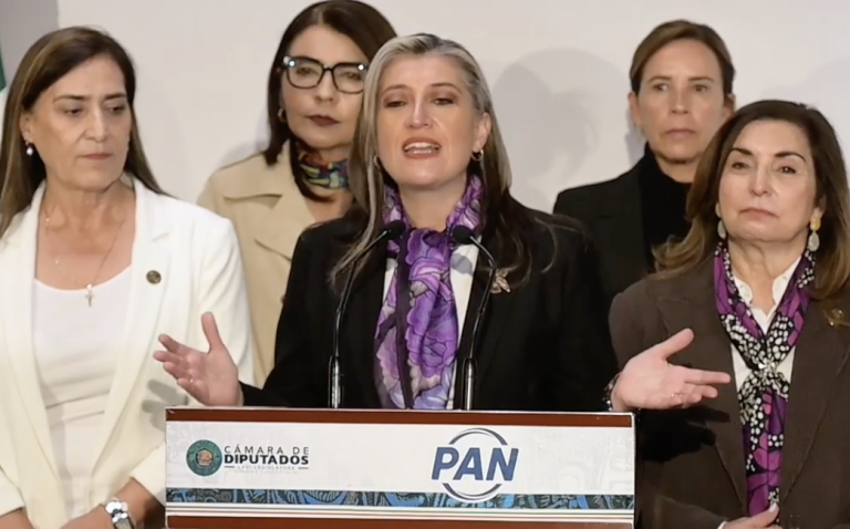 PAN busca homologar la ley contra de feminicidios para actuar contra responsables en todo el país