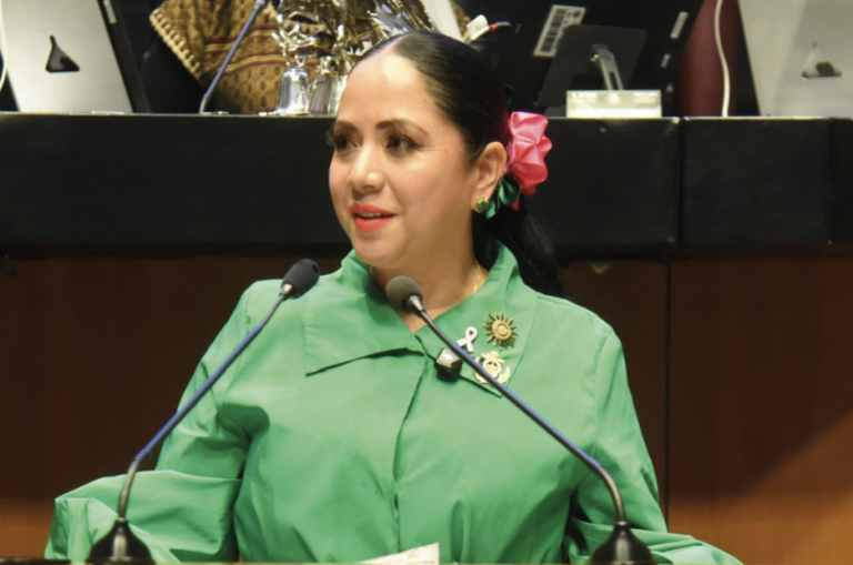 Partido Verde busca que alcaldes con observaciones en auditorías busquen la reelección