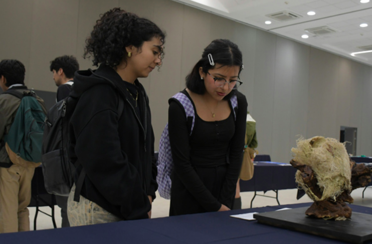 BioArte, espacio que impulsa la capacidad artística de los estudiantes