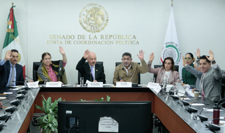 Ley de prohibición de cirugías estéticas en menores de edad avanza en comisiones del Senado