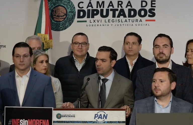 PAN solicitará que se separen del INE funcionarios vinculados a red de corrupción de Guadalupe Taddei